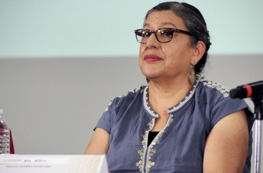 Renuncia titular de la Comisión Nacional de Búsqueda, Teresa Reyes