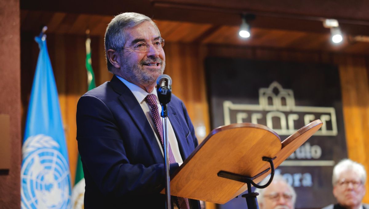 Canciller De la Fuente participará en Asamblea de la ONU; representará a la presidenta Sheinbaum