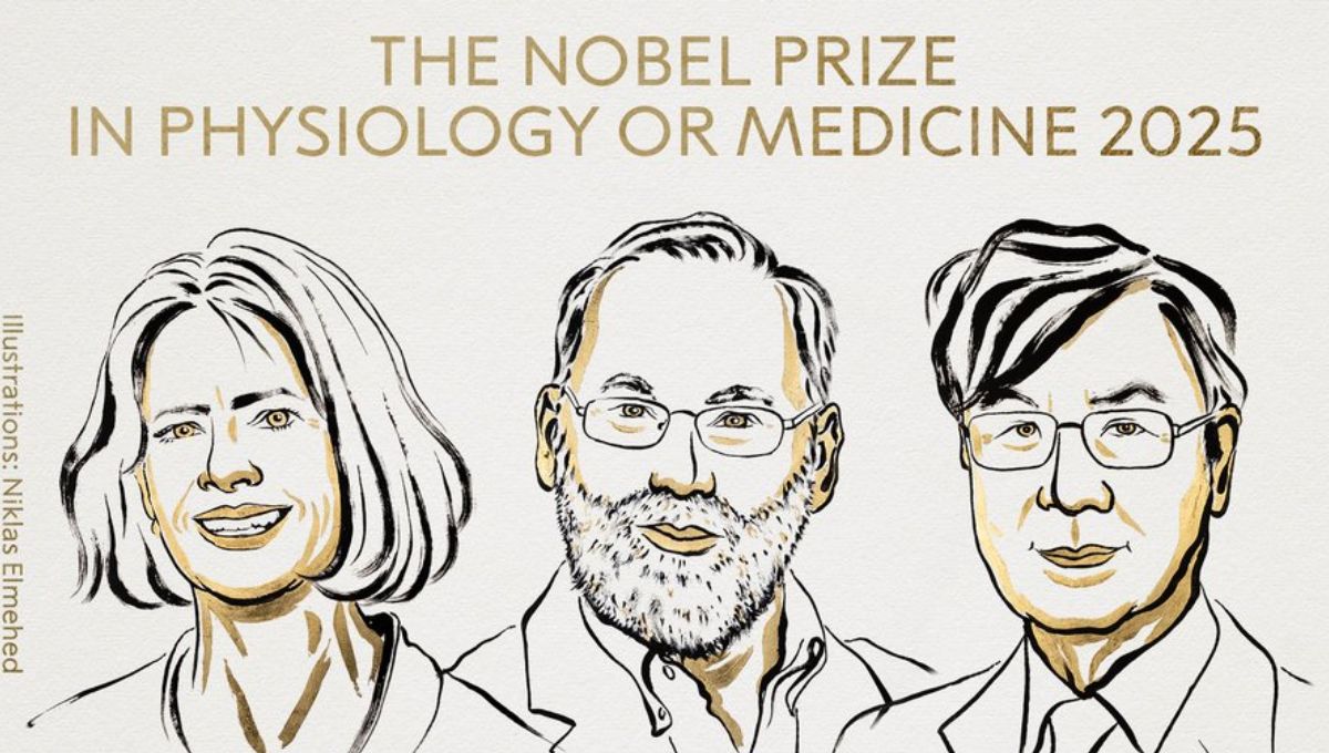 Premio Nobel de Medicina 2025: Mary E. Brunkow, Fred Ramsdell y Shimon Sakaguchi, por sus avances sobre el sistema inmune