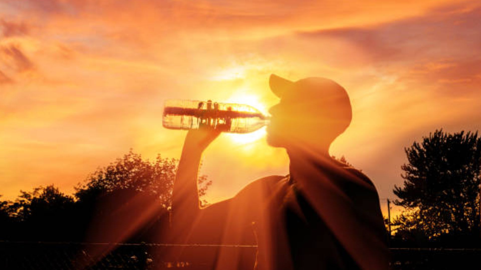 Calor extremo afectará estos estados durante 15 días consecutivos