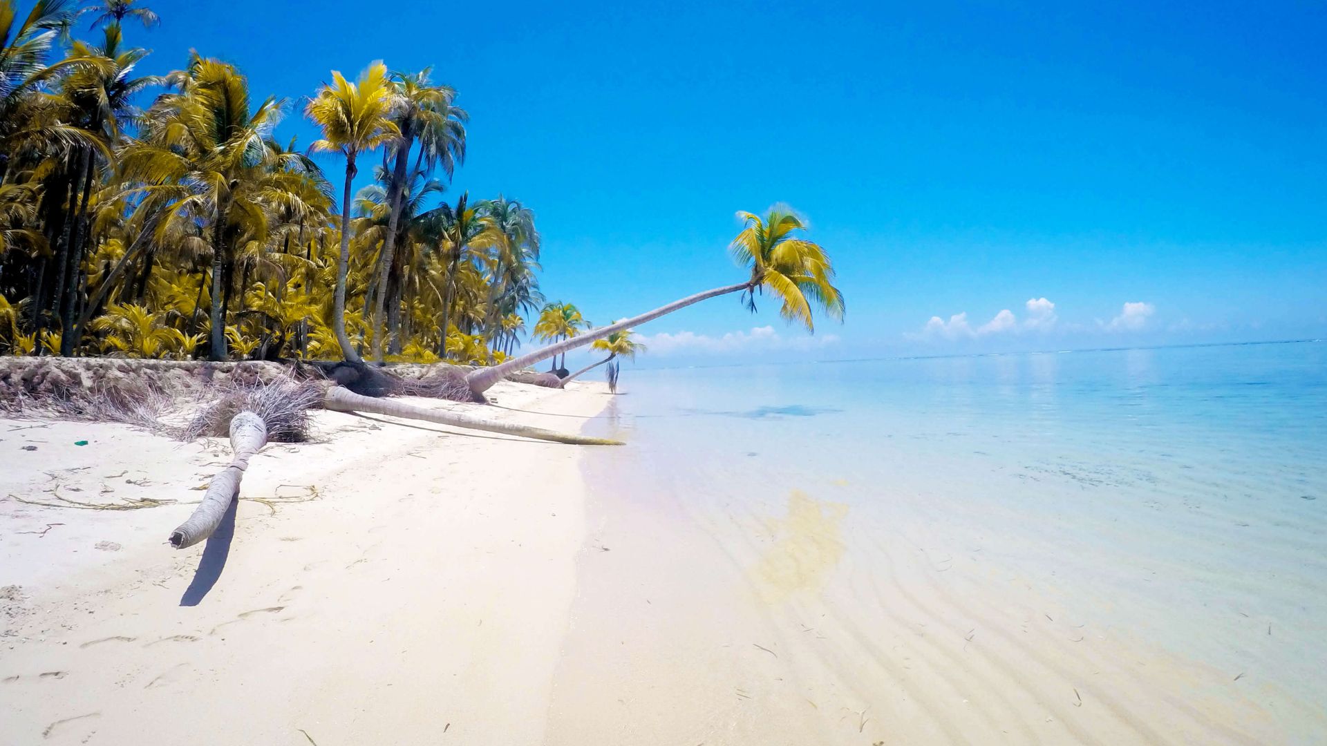 Vacaciones de Semana Santa 2026: 5 playas económicas y cerca de CDMX para descansar