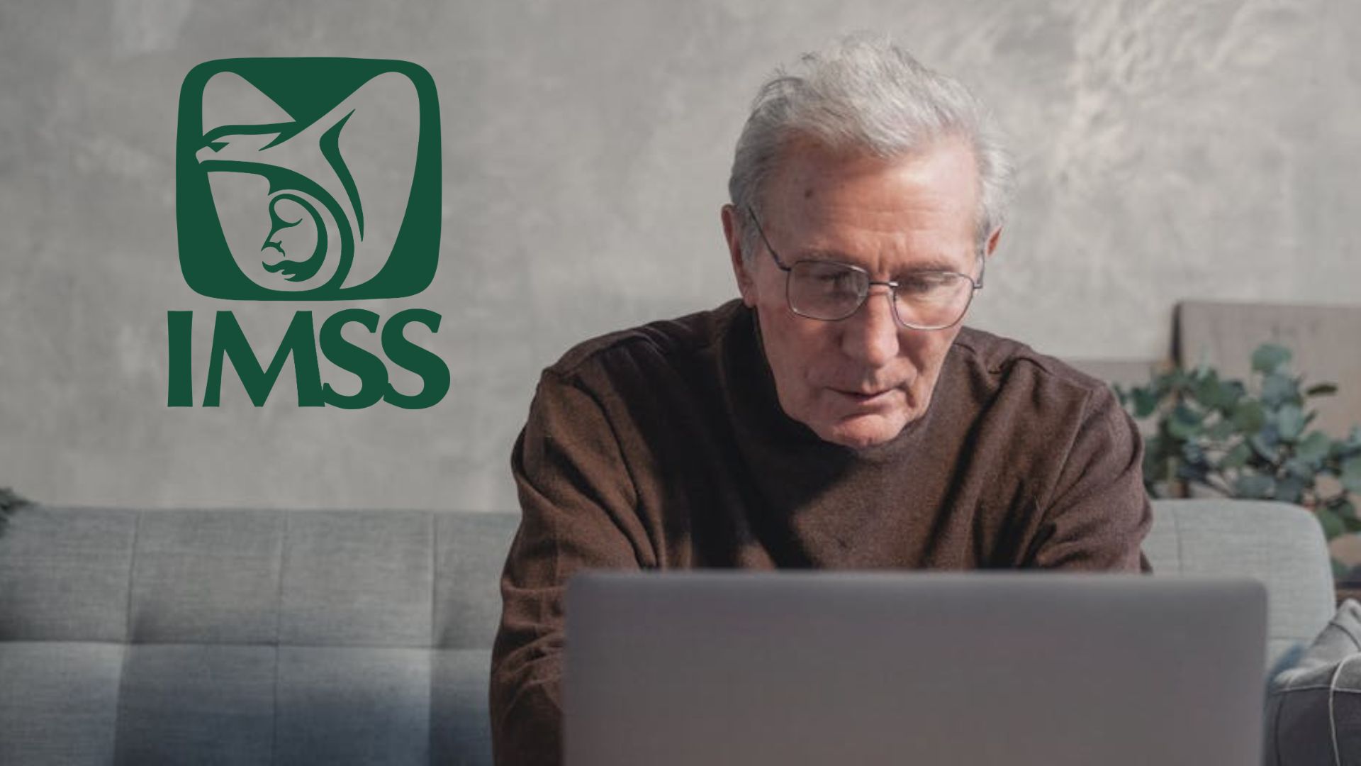 Por esta razón podrías perder tu pensión del IMSS bajo la Ley 73