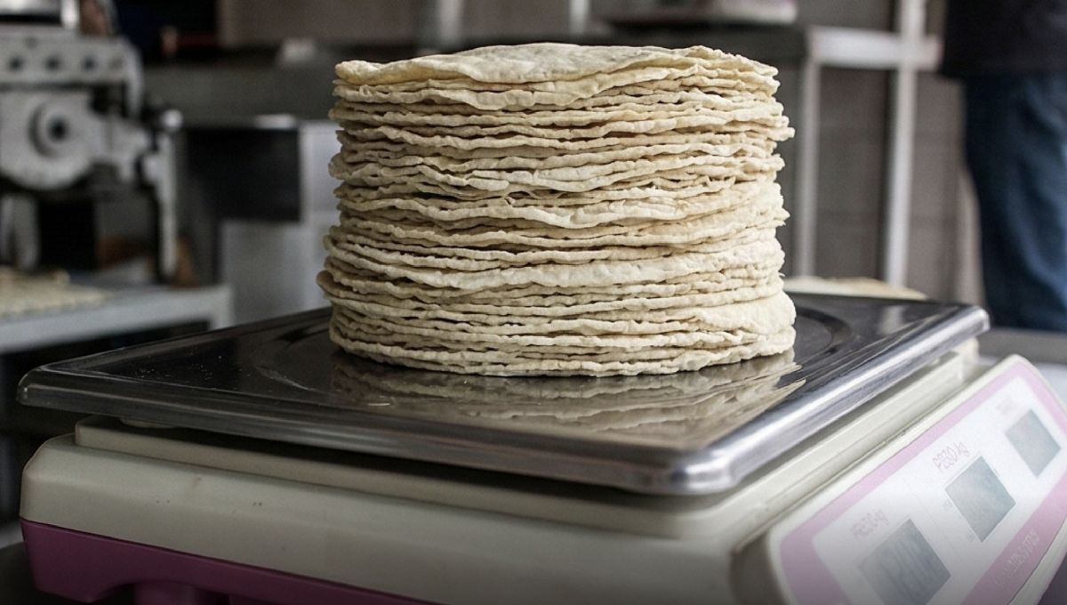 Agricultura y Profeco descartan aumento en precio de la tortilla