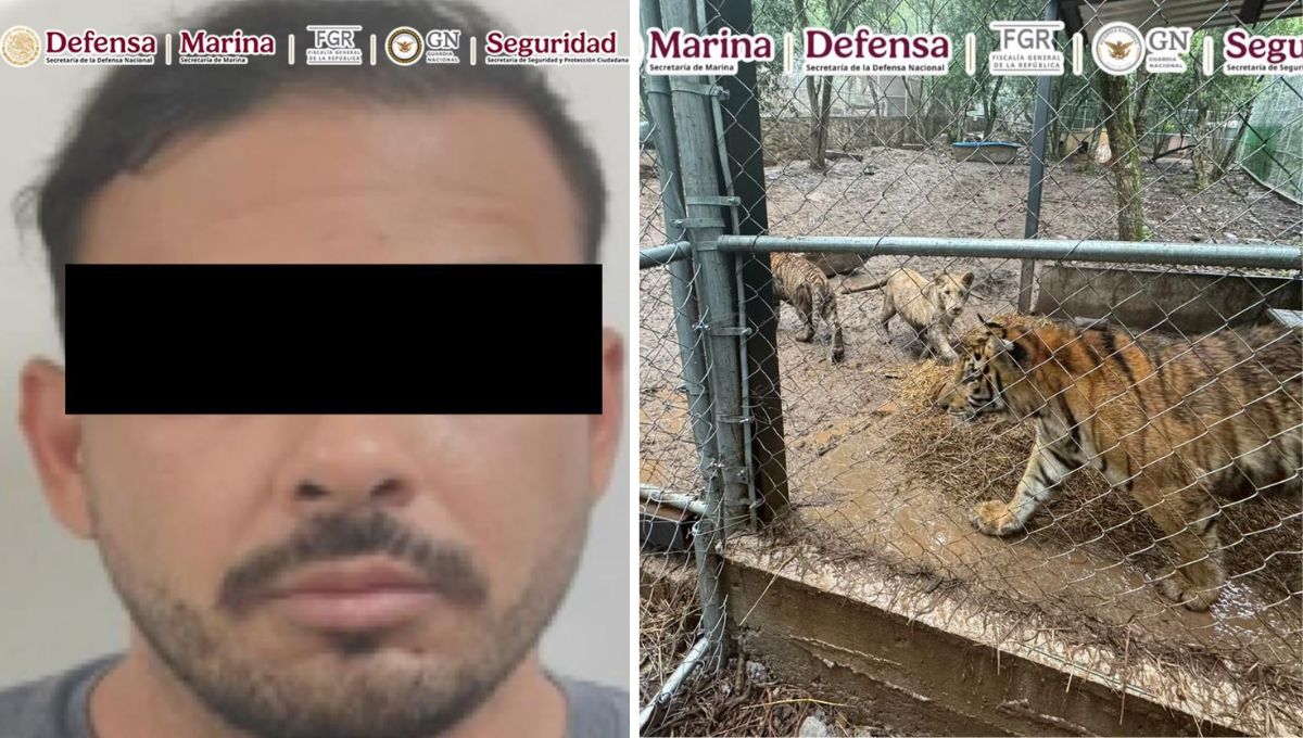 Detienen a líder de célula del Cártel del Noroeste ligada al huachicol