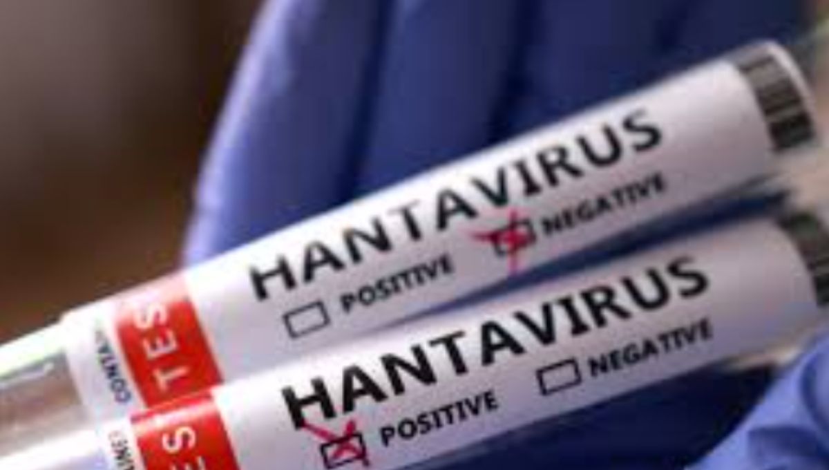 SSA emite aviso epidemiológico por hantavirus: cómo se transmite y síntomas