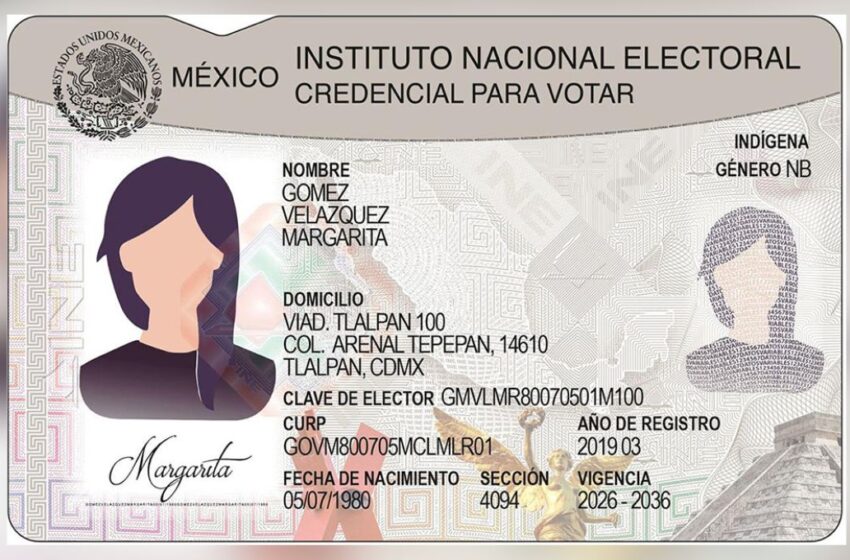 INE inicia producción del nuevo modelo de la credencial para votar; incorpora estos elementos