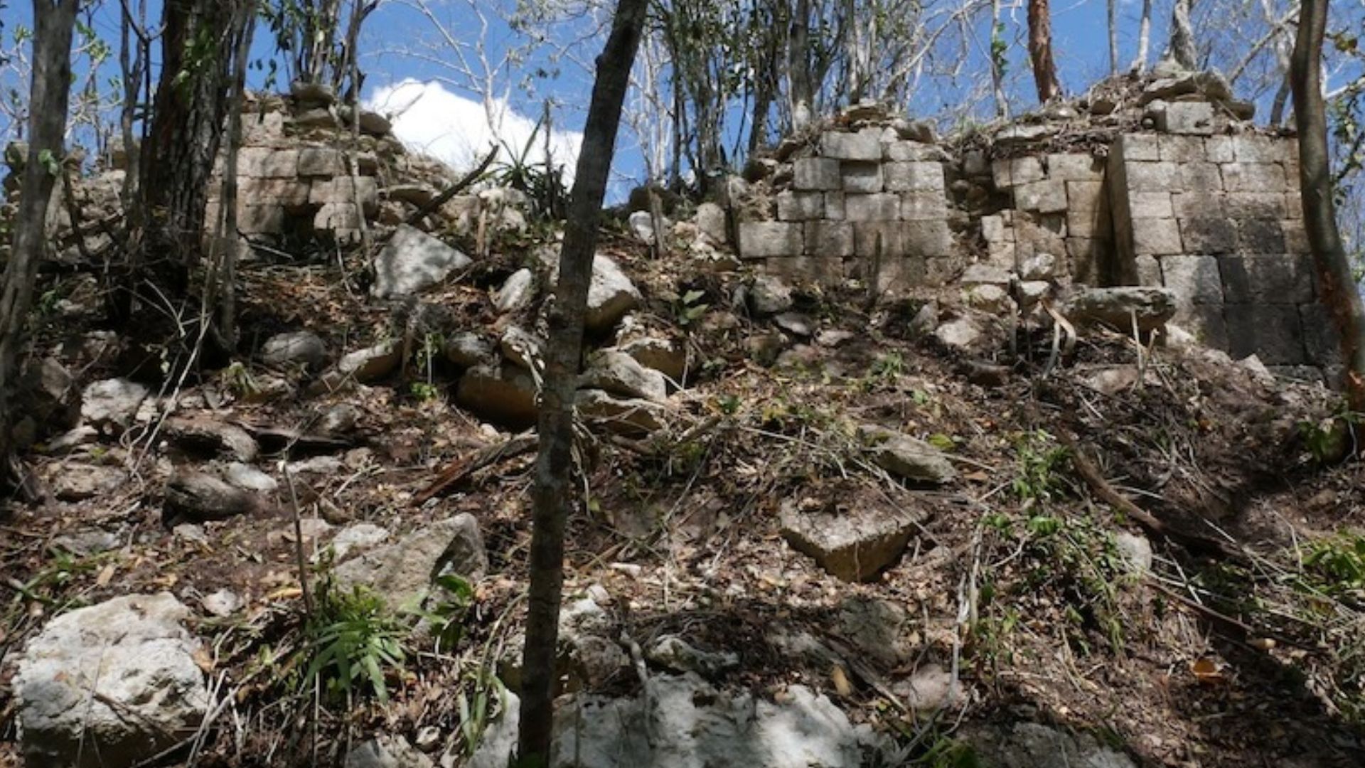 Descubren Minanbé, ciudad maya que permaneció oculta por mil años en la selva de Campeche
