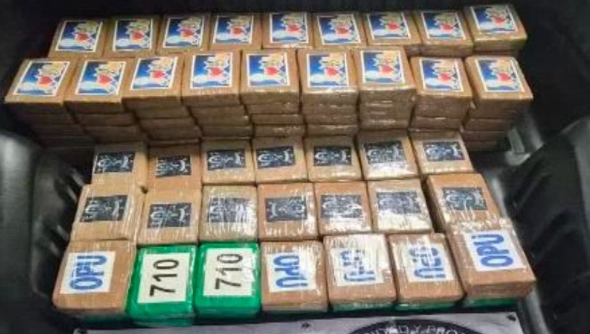 Detienen a hombre con 217 kilos de cocaína en Tlalpan, CDMX