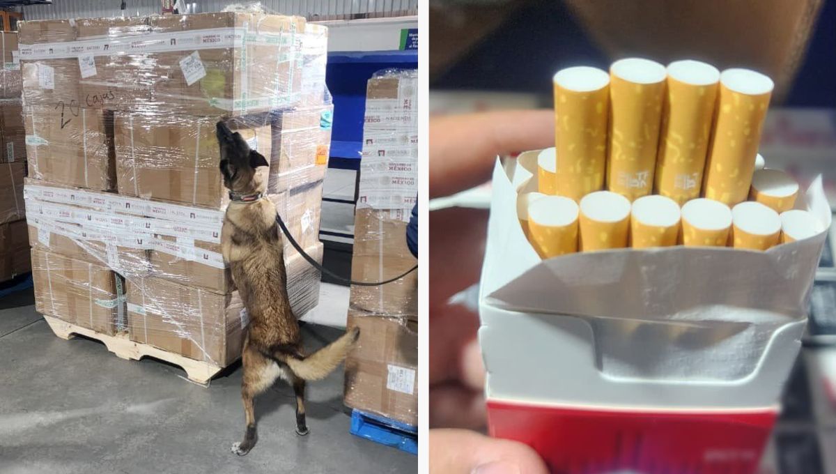 Aseguran más de 2 millones de cigarros apócrifos en el AICM