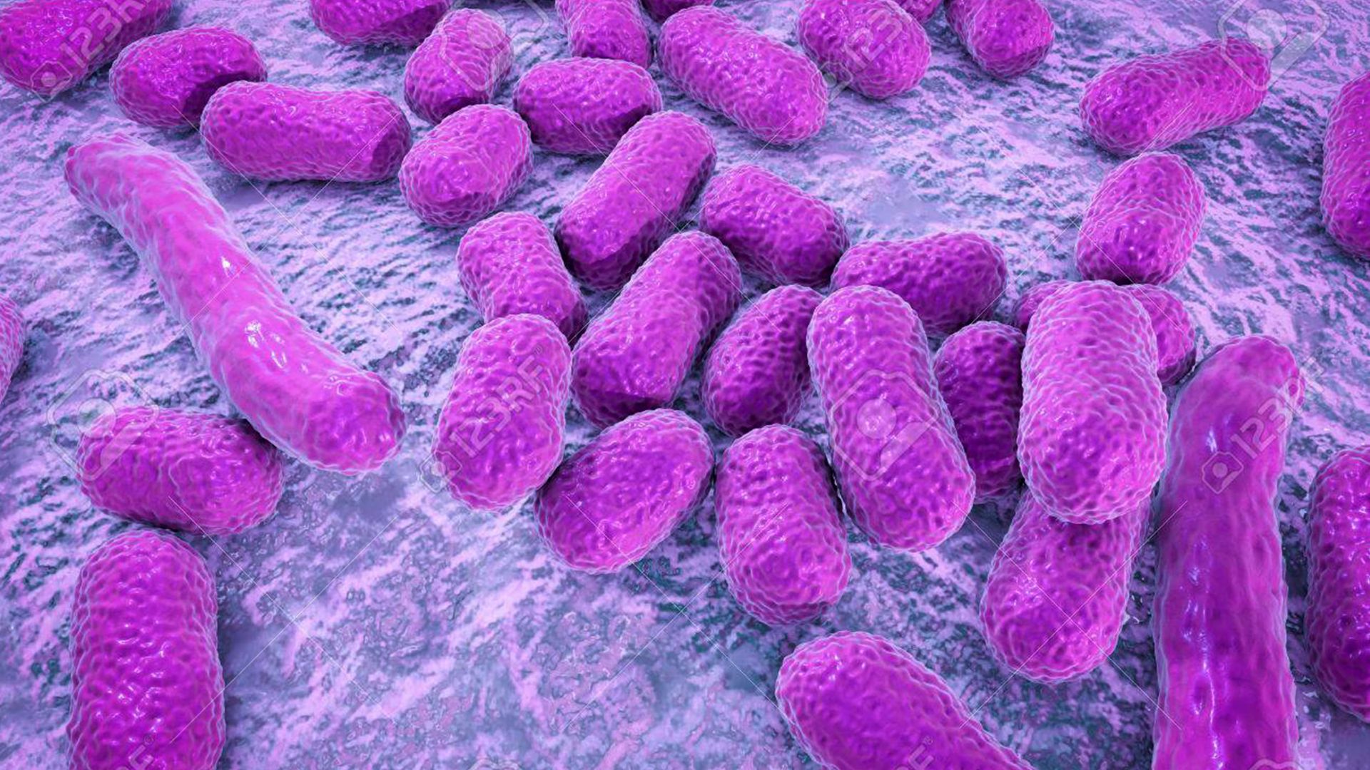 Bacteria resistente a antibióticos está presente en animales, plantas y alimentos, revela UNAM