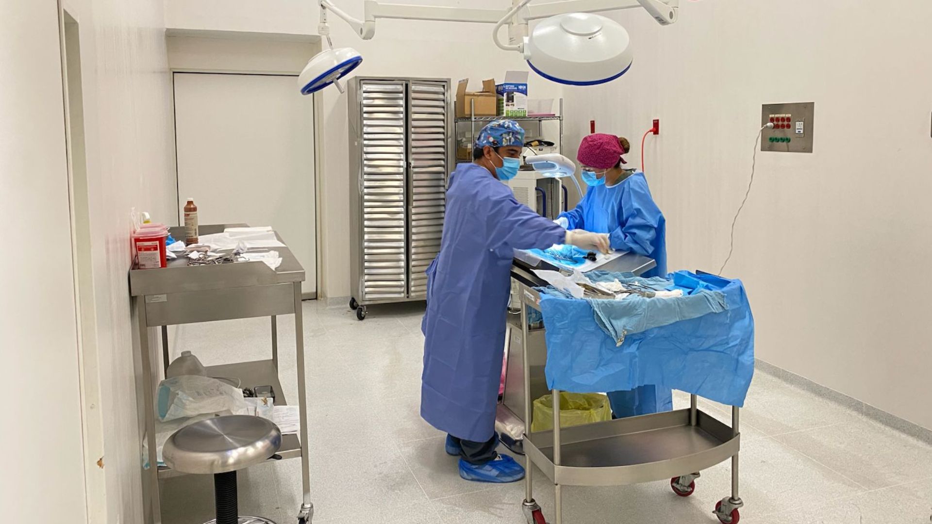 Hospital Veterinario de CDMX: estos son los servicios y costos