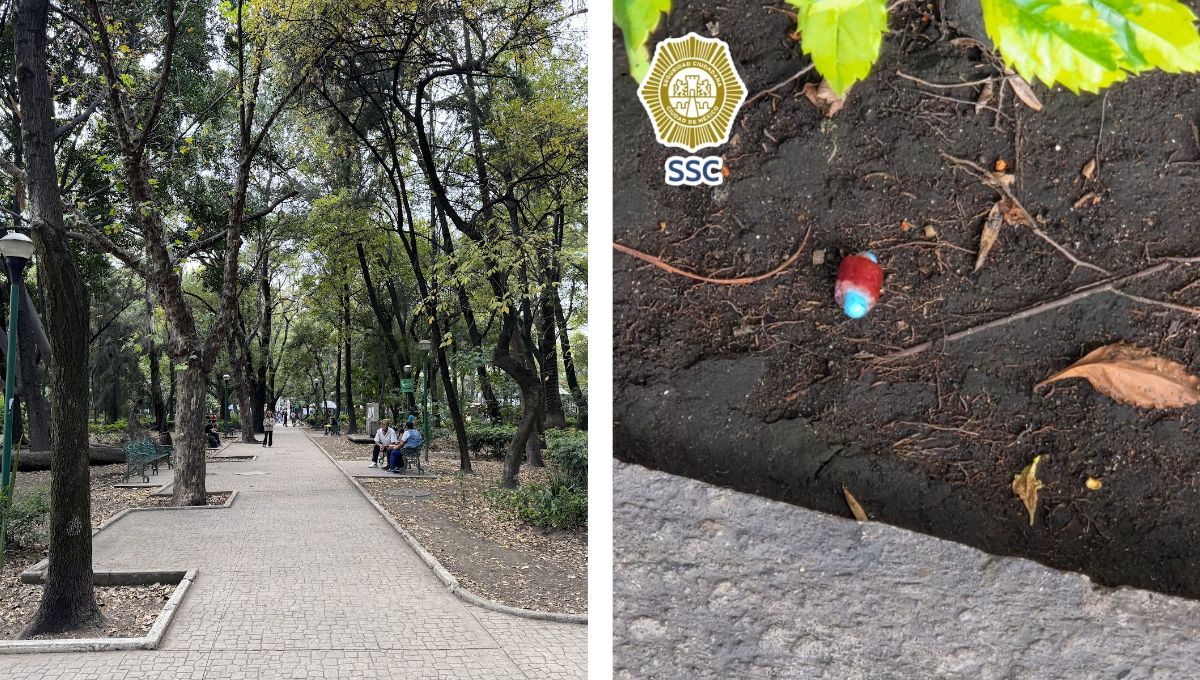 Investigan envenenamiento de perros en Parque España; alcaldesa aporta pruebas de presunto responsable